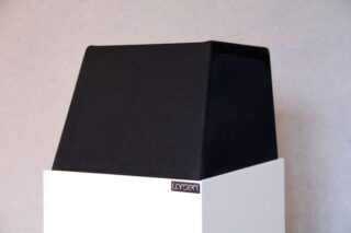 Larsen-4-Top-of-the-speaker-1.jpeg