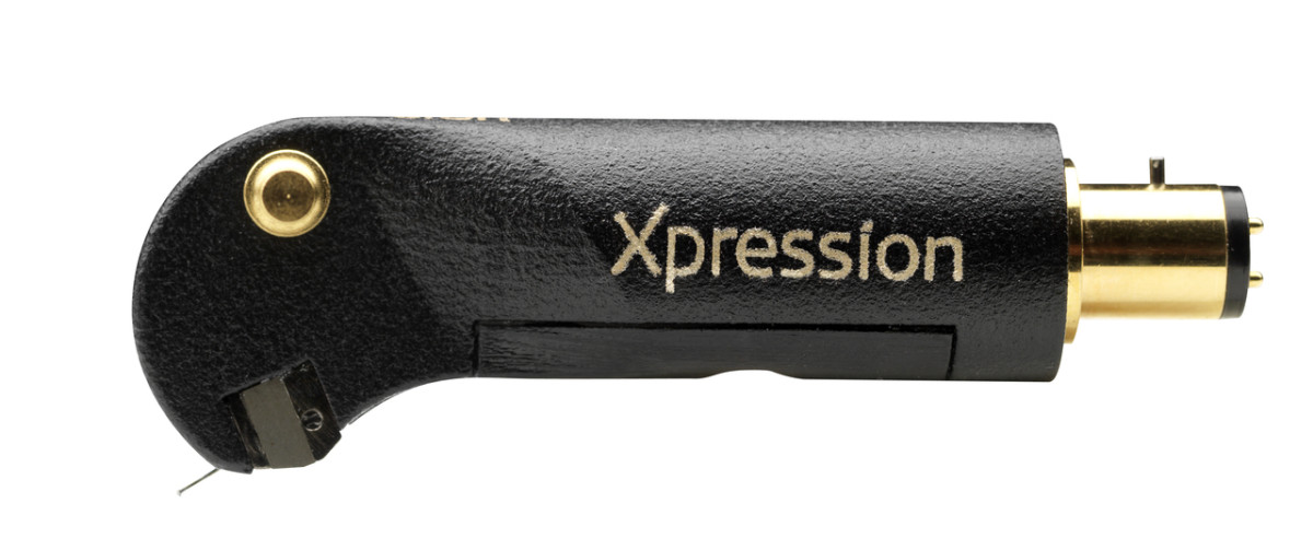 Xpression_side__35512.1406098180.1280.1280