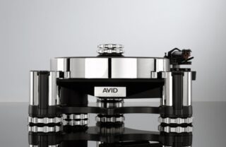 acutus_1_large-1.jpg