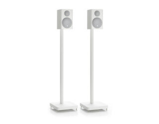 mass_radius_stands
